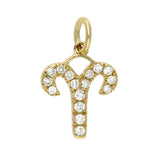 Gold Diamond Zodiac Charm