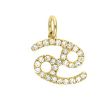 Gold Diamond Zodiac Charm