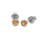 Gold Bezel Birthstone Stud Earring