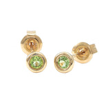 Gold Bezel Birthstone Stud Earring