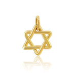 Gold Star of David Charm